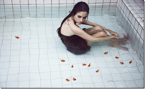 more freak show foto arte peixes fish (12) more freak show foto arte peixes fish (12)