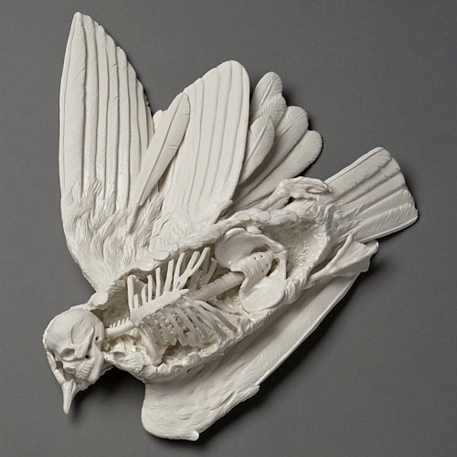 [Esculturas em Porcelana by kate D. macdowell  (7)[3].jpg]