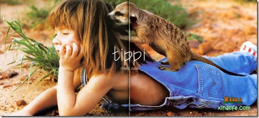 Book livro Tippi pequena garota e sua amizade com Animais selvagens (18) Book livro Tippi pequena garota e sua amizade com Animais selvagens (18)