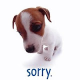 doggie 1.jpg