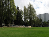 IMG_0964.JPG