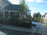 IMG_0895.JPG