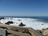IMG_1106.JPG
