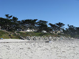 IMG_1157.JPG