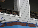 IMG_1004.JPG