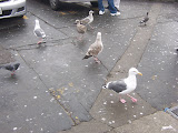 Picture 056.jpg