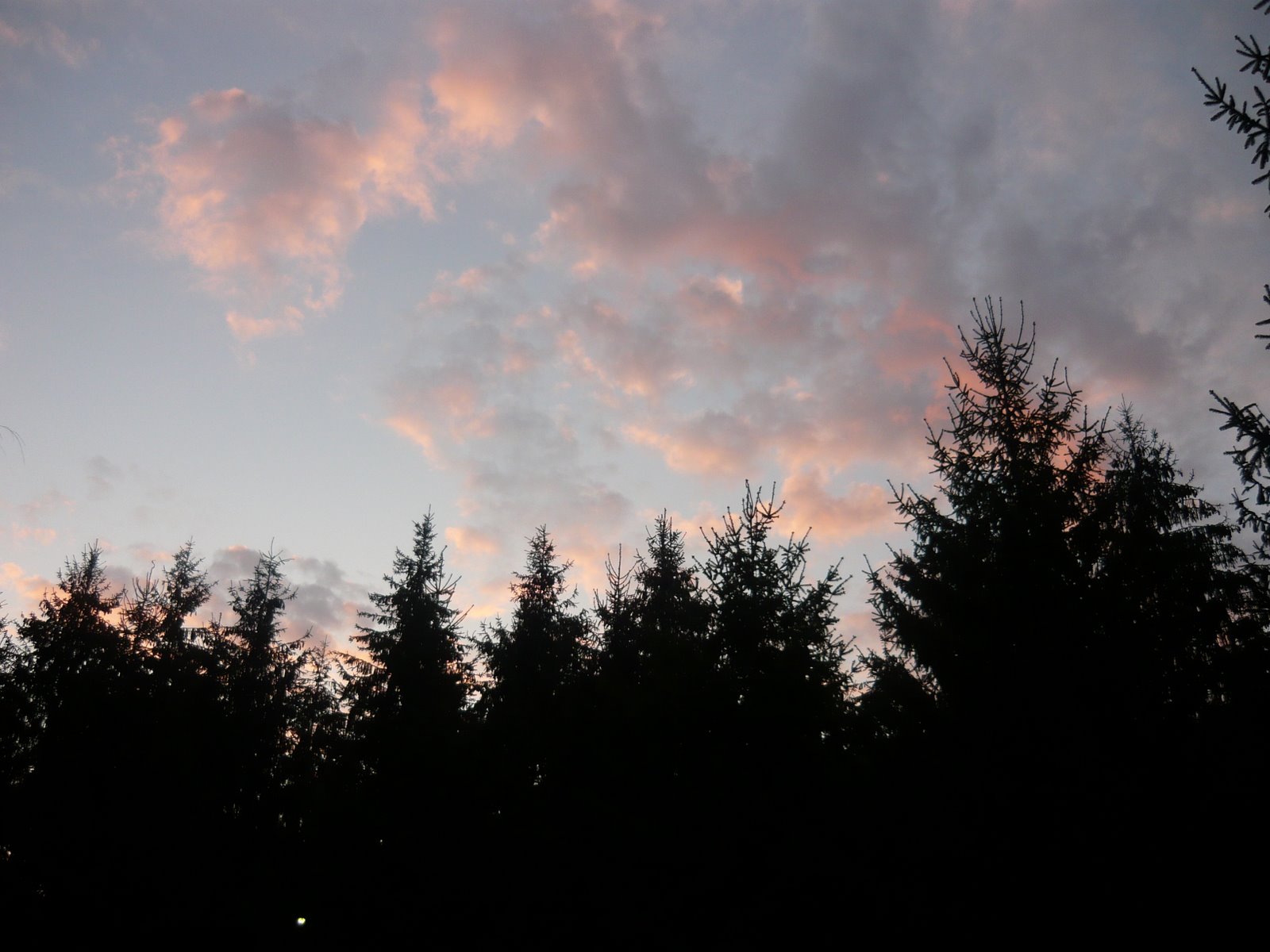 [P1020630.JPG]
