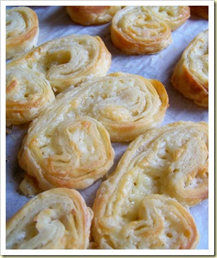 palmiers cantal 1