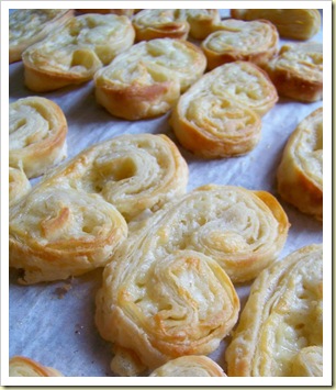 palmiers cantal 2