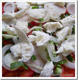tarte tomates oignons mozza crue tarte tomates oignons mozza crue