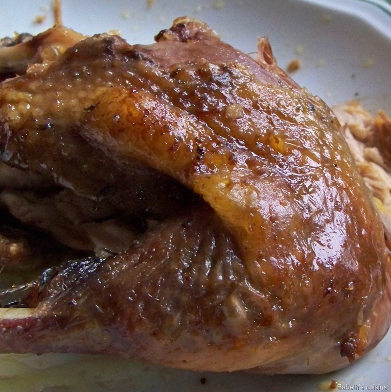 [chapon de pintade2[9].jpg]