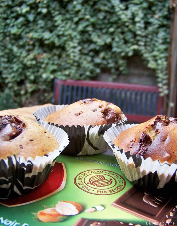[muffins chocolat noisettes raisins secs2[8].jpg]