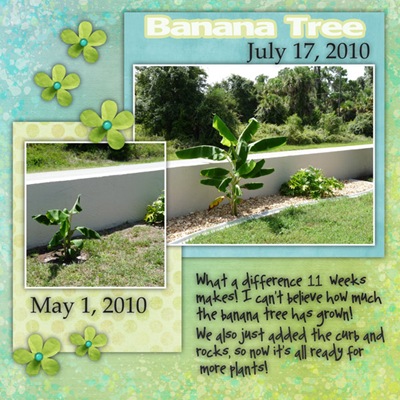 Banana
