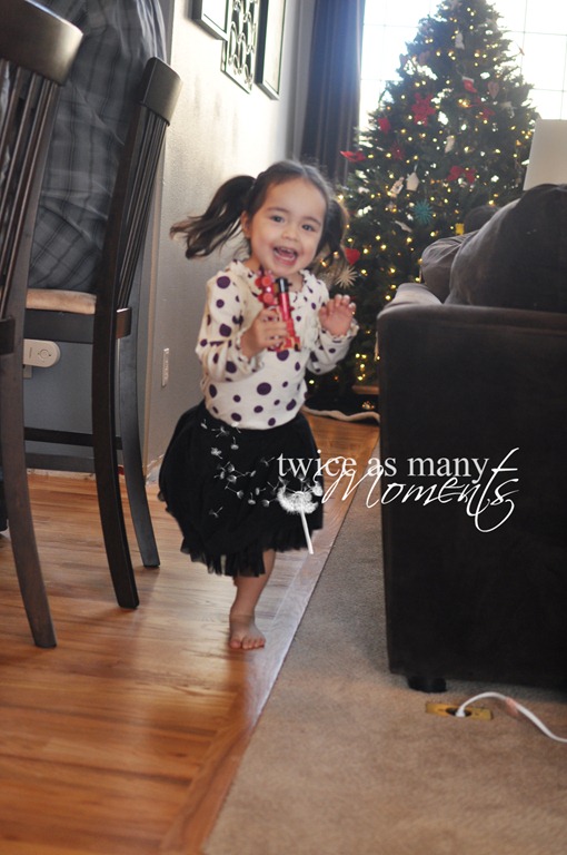 [DSC_1995_edit_wm[10].jpg]