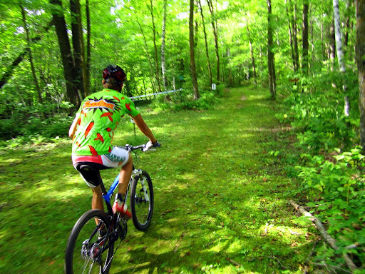 Rolling on the ski trail, intersection of courses.