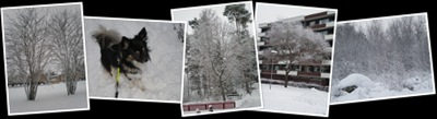Visa Snöbilder