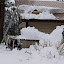 Ranch Janvier 2010 - 17