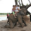 éléphant avec les poos - 041