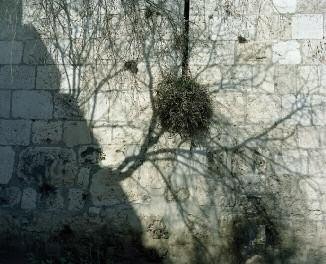 Valérie Jouve, Sans titre, 2010 Valérie Jouve, Sans titre, 2010