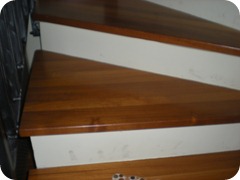 DSCN2598 DSCN2598