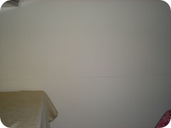 DSCN2596 DSCN2596