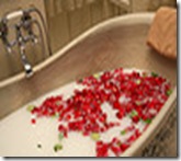 European Spa Vacations