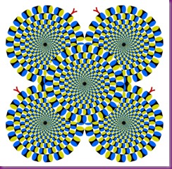 Illusions