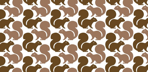 [squirrel[5].jpg]