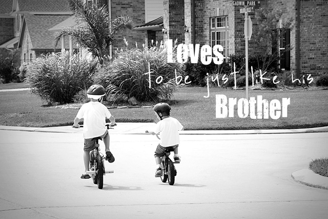[Brothers[7].jpg]