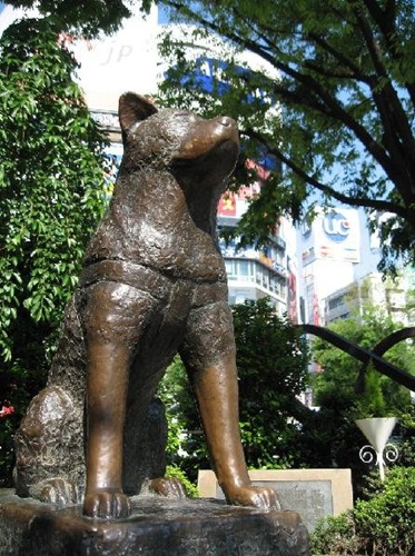 [Hachiko[9].jpg]