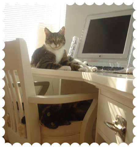 [cats_desk[3].jpg]