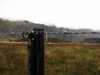 Simple solution to keeping cows and sheep in their place.