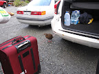 Warm welcome to Milford Sound by the locals