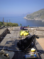 AMALFI - PORTRAIT LEMONS WALKING STICKS.