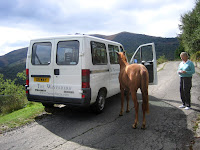 Curious locals.