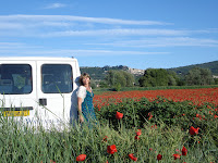 Antonia in a poppy field.