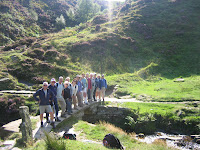 Moorland photo opportunity