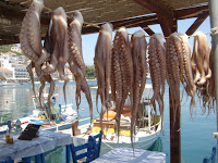 Octopus for sale!