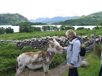 The locals are friendly.