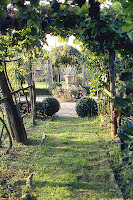 Pergola at Villa di Geggiano