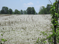 IMG_3215.JPG
