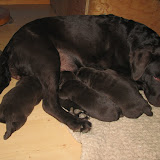 2010-05-09