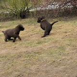 IMG_0028.JPG