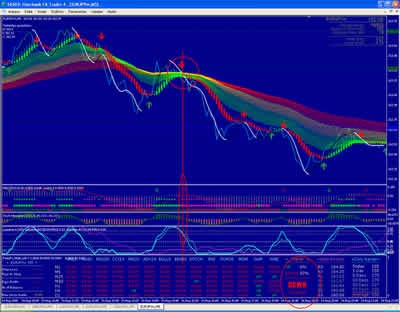 Thumb-5MBlueTRS-Trend-Rider-System-Short-Position Thumb-5MBlueTRS-Trend-Rider-System-Short-Position