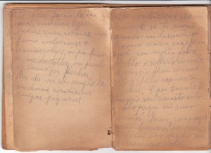 Pagine dal diario del soldato Argnani Alvaro