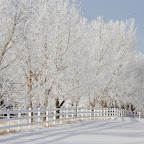 Pretty, isn't it?
