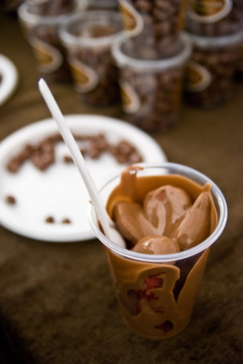 Strawberry Chocolate Cup