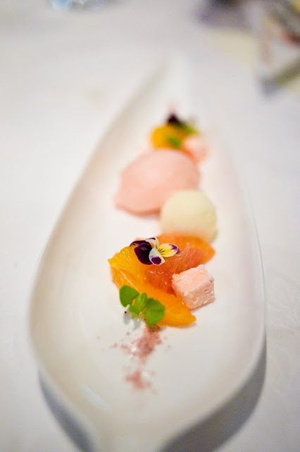 Pink grapefruit and Campari sorbet with citrus salad and Yuzu