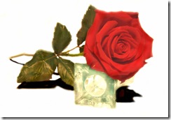 mothers-day-red-rose