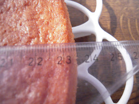 DSCN2530.JPG